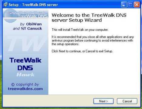 TreeWalk DNS Server